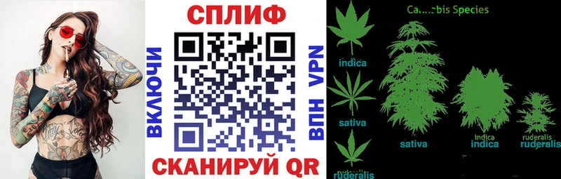 Что такое Мурманск Канабис  Псилоцибиновые грибы  ГАШ  Меф мяу мяу  KRAKEN рабочий сайт  А ПВП 