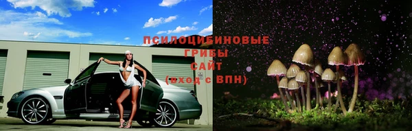 эйфоретик Бронницы