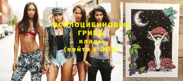 2c-b Богданович