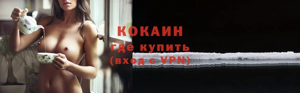 apvp Богородицк